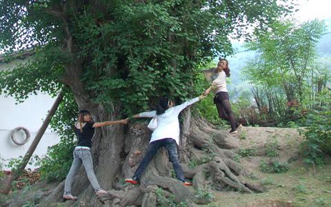 十堰竹山旅游拓展基地