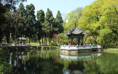 襄樊隆中植物園拓展基地